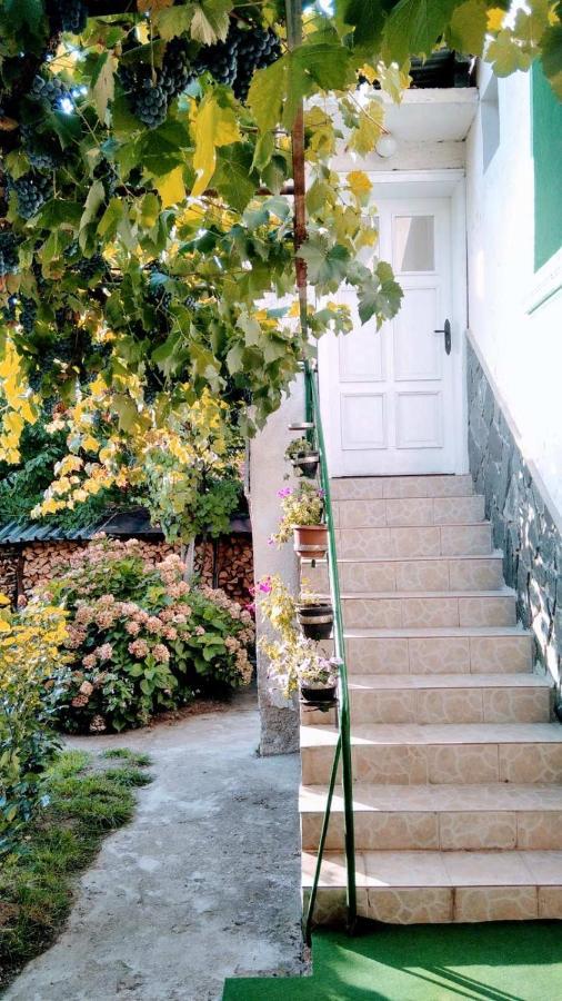 Къща За Гости Ягода Sapareva Banya Exterior foto