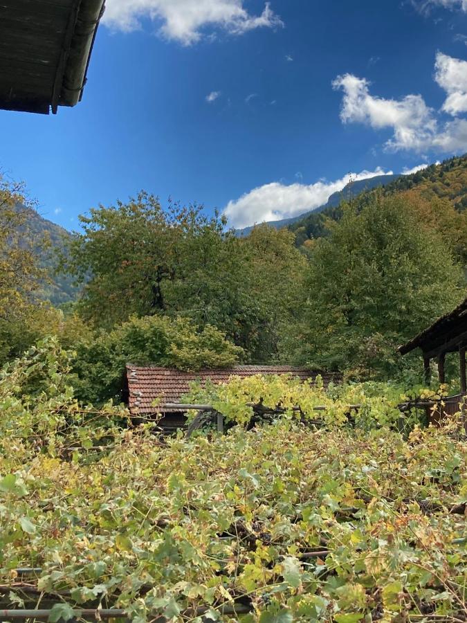 Къща За Гости Ягода Sapareva Banya Exterior foto